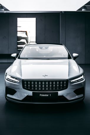 Polestar, gray Wallpaper 640x960