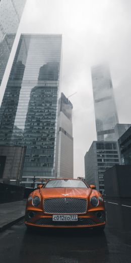 Bentley, city, fog Wallpaper 720x1440