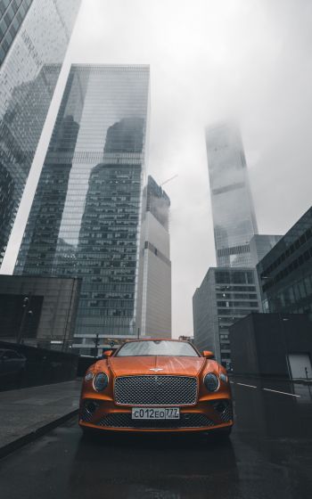 Bentley, city, fog Wallpaper 800x1280