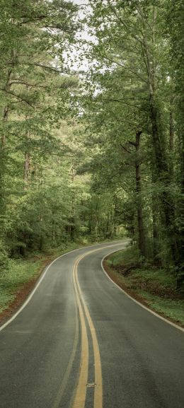 road, forest Wallpaper 1080x2400