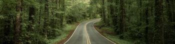 road, forest Wallpaper 1590x400