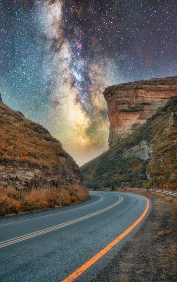 road, night, starry sky Wallpaper 1752x2800