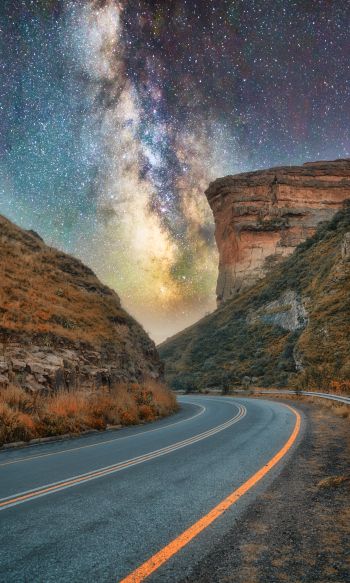 road, night, starry sky Wallpaper 1200x2000