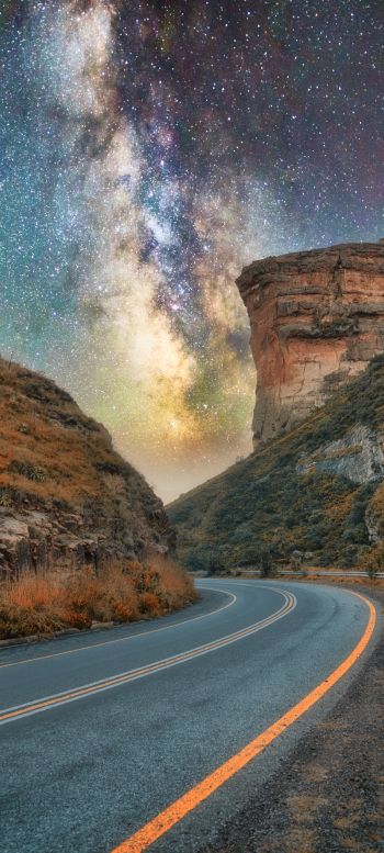 road, night, starry sky Wallpaper 1440x3200
