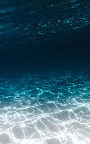 sea, underwater, blue Wallpaper 1200x1920