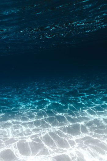 Обои 640x960 море, под водой, синий