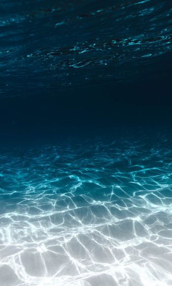 sea, underwater, blue Wallpaper 1200x2000