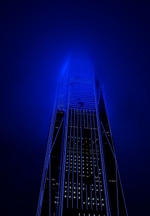 skyscraper, night, neon Wallpaper 1640x2360