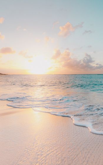 beach, sea, sunset Wallpaper 1752x2800