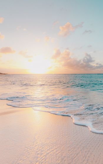 beach, sea, sunset Wallpaper 1600x2560