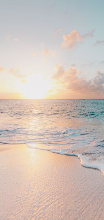 beach, sea, sunset Wallpaper 1440x3040