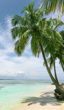 beach, sea, palm trees Wallpaper 600x1024