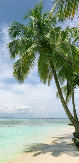Обои 1080x2220 пляж, море, пальмы