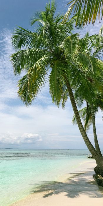 Обои 720x1440 пляж, море, пальмы