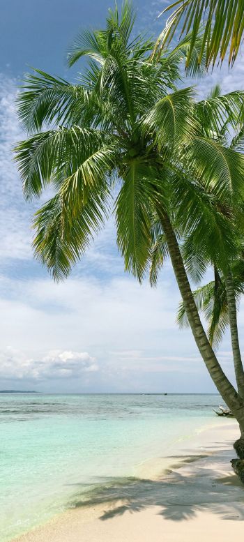 Обои 1440x3200 пляж, море, пальмы