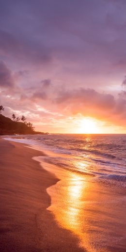 beach, sea, sunset Wallpaper 720x1440