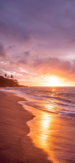 beach, sea, sunset Wallpaper 1080x2340