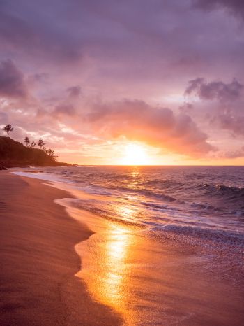 beach, sea, sunset Wallpaper 2048x2732