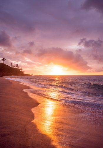beach, sea, sunset Wallpaper 1668x2388