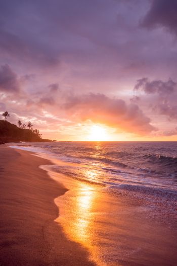 beach, sea, sunset Wallpaper 640x960
