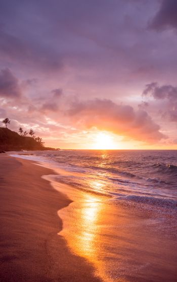 beach, sea, sunset Wallpaper 1752x2800