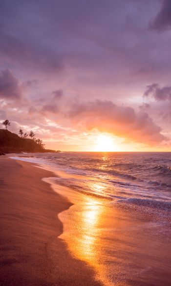 beach, sea, sunset Wallpaper 1200x2000