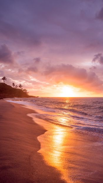 beach, sea, sunset Wallpaper 1440x2560