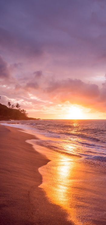 beach, sea, sunset Wallpaper 1080x2280