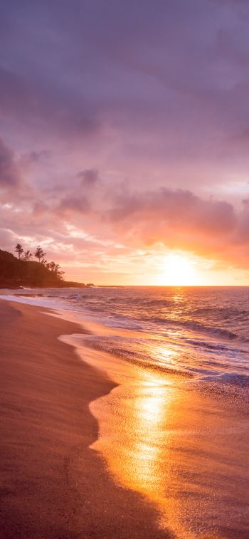 beach, sea, sunset Wallpaper 1125x2436