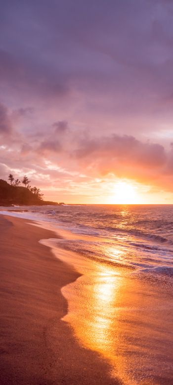 beach, sea, sunset Wallpaper 1080x2400