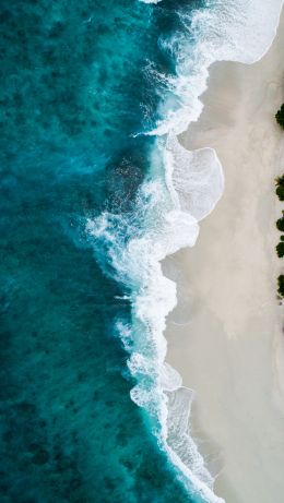 beach, sea, bird's eye view Wallpaper 640x1136