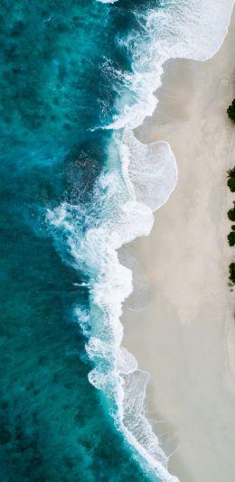 beach, sea, bird's eye view Wallpaper 1440x2960