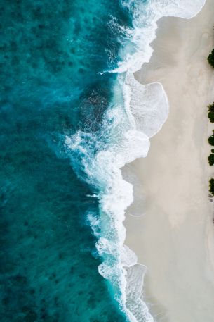 beach, sea, bird's eye view Wallpaper 640x960