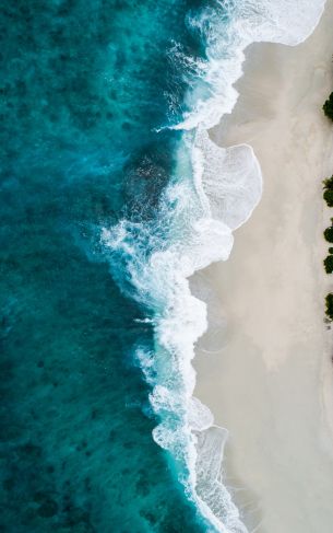 beach, sea, bird's eye view Wallpaper 1752x2800