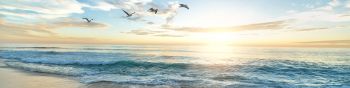 dawn, sea, beach Wallpaper 1590x400