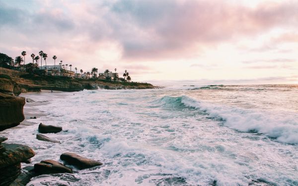 beach, sea foam, sea Wallpaper 2560x1600