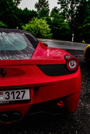 Обои 3323x4985 красный Ferrari, спортивная машина