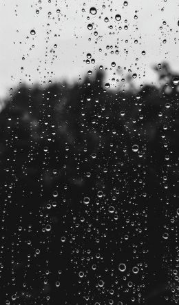 raindrops, black Wallpaper 600x1024