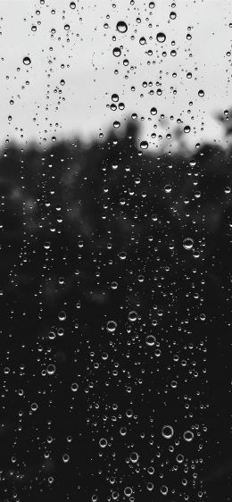 raindrops, black Wallpaper 1284x2778