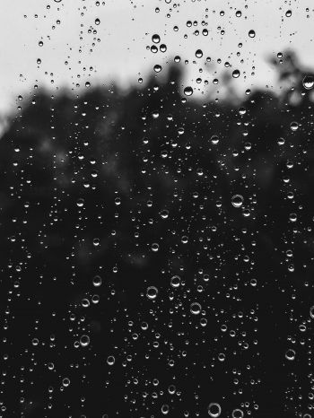 raindrops, black Wallpaper 2048x2732