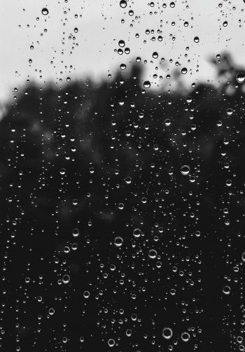 raindrops, black Wallpaper 1640x2360