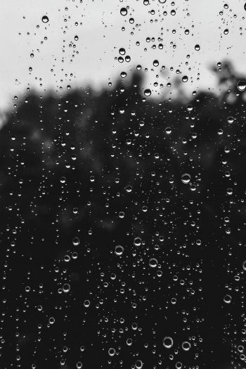 raindrops, black Wallpaper 640x960