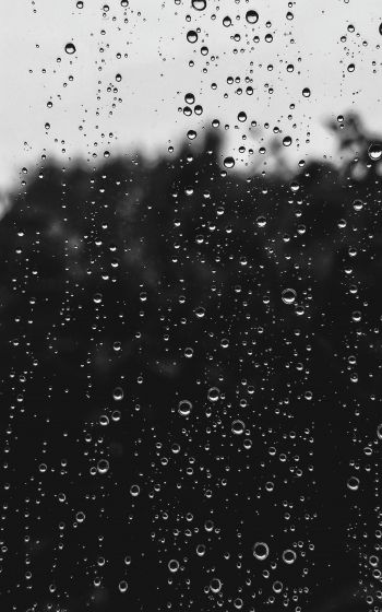 raindrops, black Wallpaper 800x1280