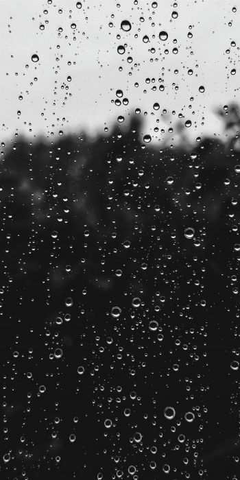 raindrops, black Wallpaper 720x1440