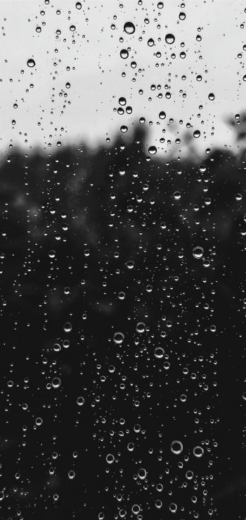 raindrops, black Wallpaper 1440x3040