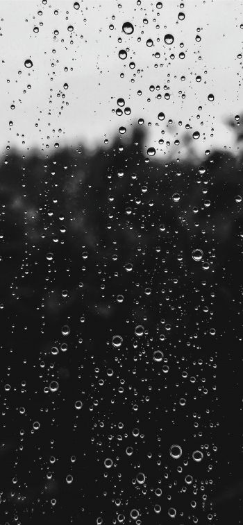 raindrops, black Wallpaper 1284x2778