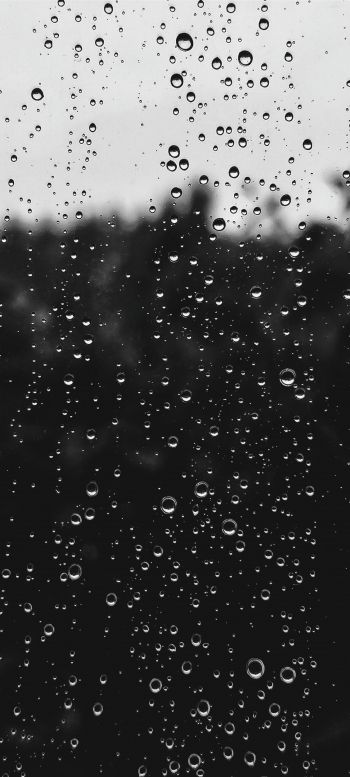 raindrops, black Wallpaper 1440x3200