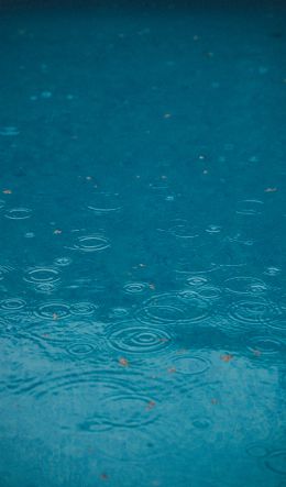 raindrops, rain, blue Wallpaper 600x1024