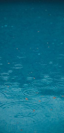 raindrops, rain, blue Wallpaper 1440x2960