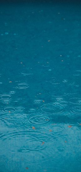 raindrops, rain, blue Wallpaper 720x1520